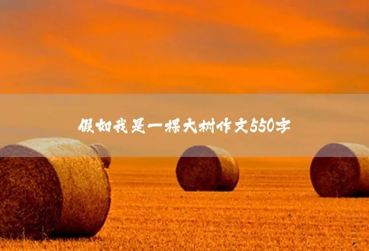 生活中的小镜头作文550字 - 蜂鸟电竞